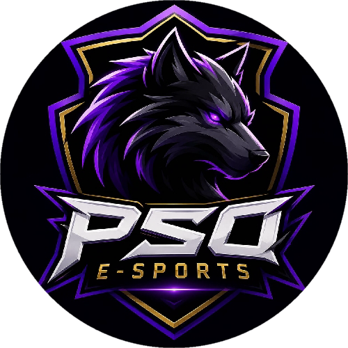 PSO E-SPORTS