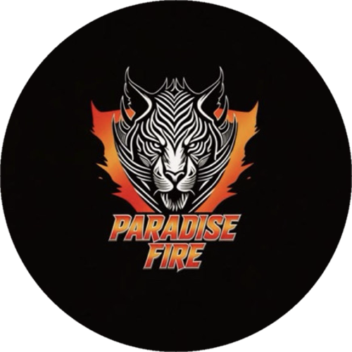 ES PARADİSEFİRE ESPORTS logo