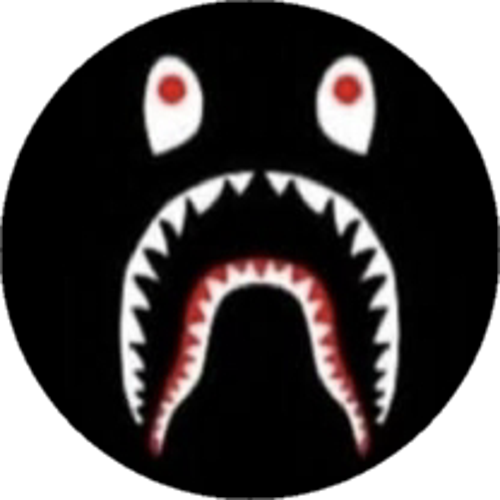 ssASLAN
