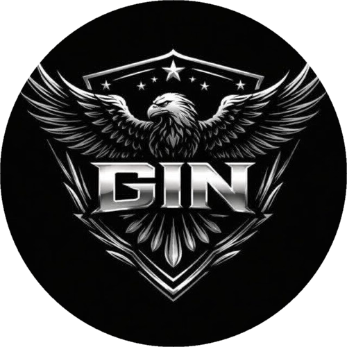 GINNN ESPORTS