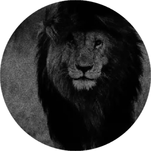 S6 ESPORTS
