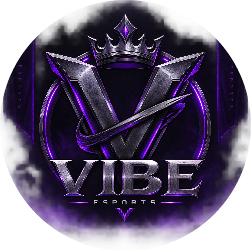VIBEE ESPORTS