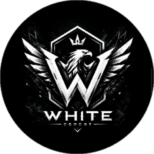 WHITE ESPORTS ACADEMY