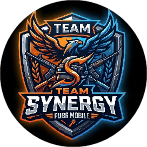 Team Synergy