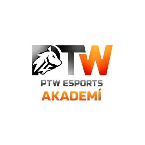 PTW-ACADEMY