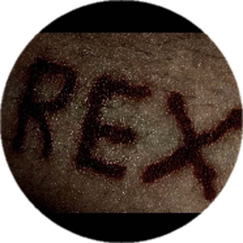 REX丶ESPORTS