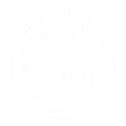 KARA V4 Esports
