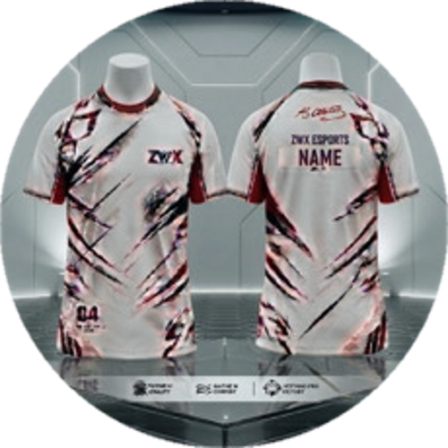 ZEWİX ESPORTS