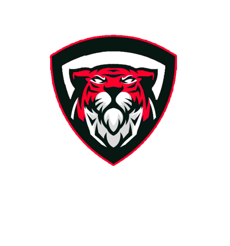 Moon Star E-Sports