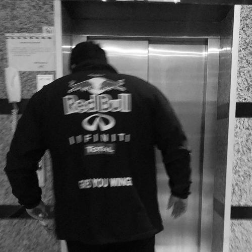 Dixon'un Kedicikleri