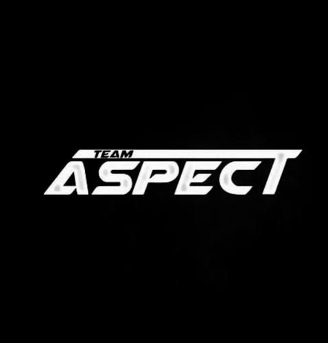 Team Aspect
