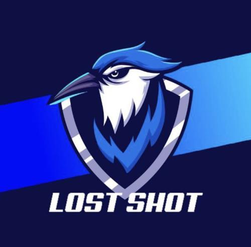 Lost Shot ACADEMY