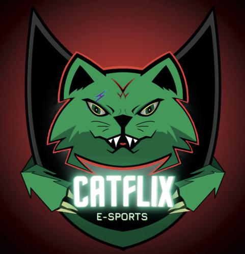 CATFLİX