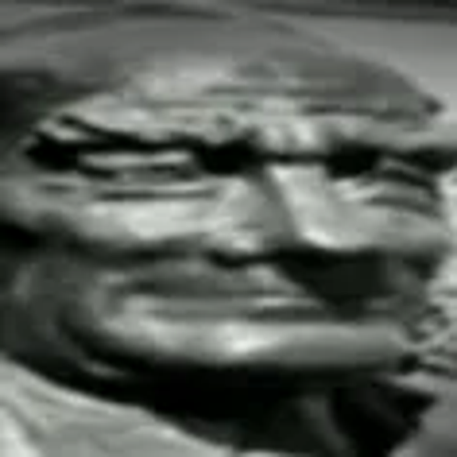 sevgipıtırcıkları_1