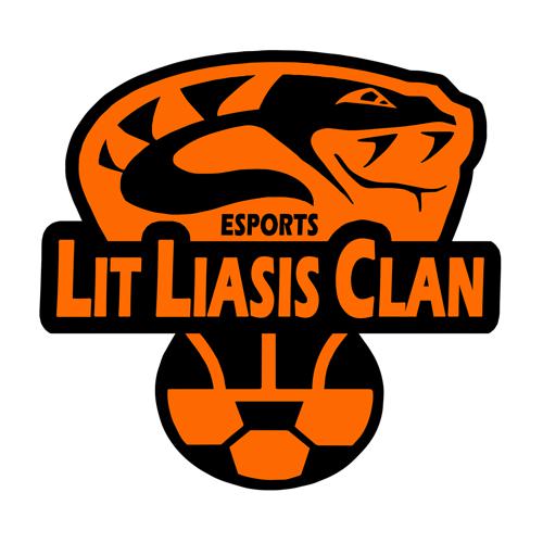 LLC ESPORTS