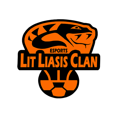 LLC ESPORTS