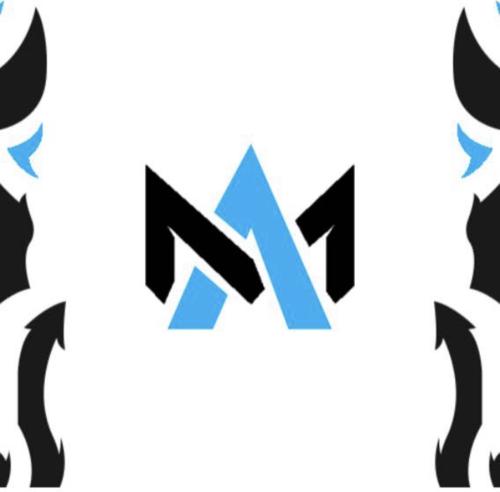 Massive Assasins E-Sports