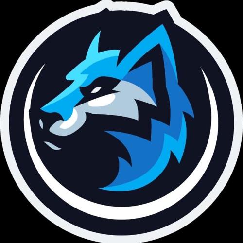 POLAR ACE ESPORTS