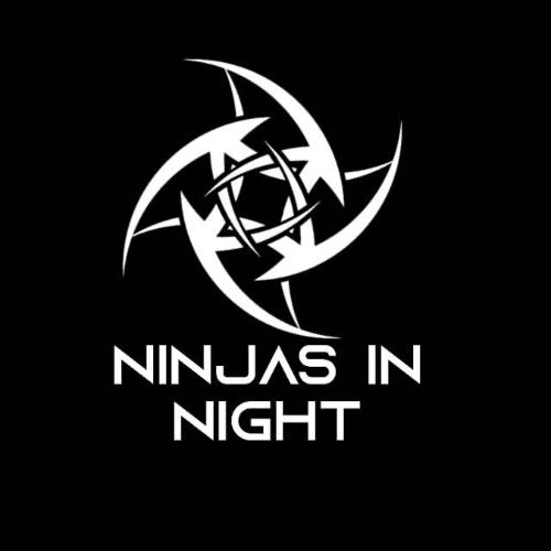 NINJAS IN NIGHTT