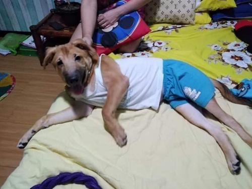 e-girl arama kurtarma timi