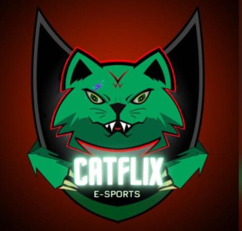 Catflix Esports