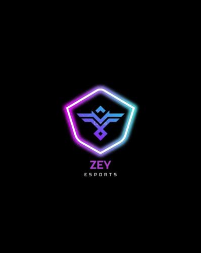 ZEYxESPORTS