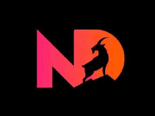 Night Diriliş E-Sports