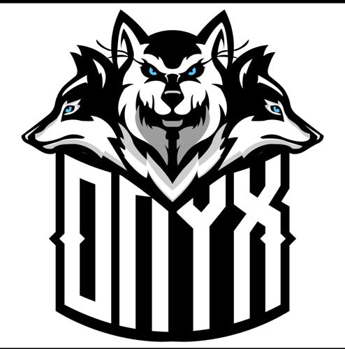 ONYX ESPORT