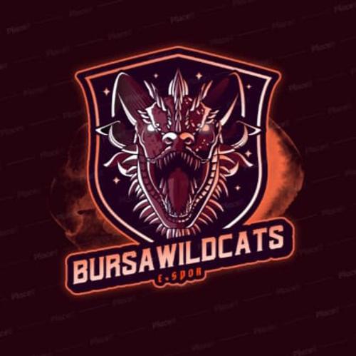 BursaWildCats