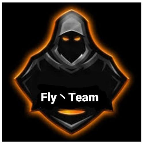 Fly丶Team
