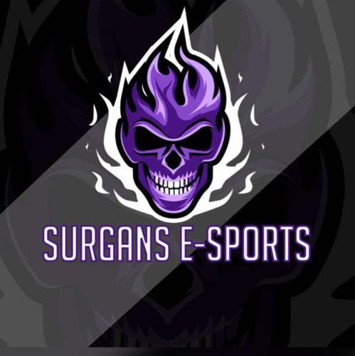 Surgans Esports