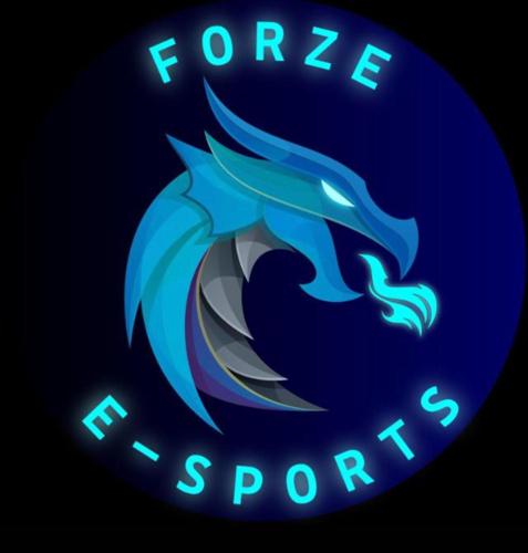 Forze X