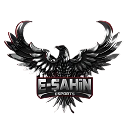 E-SAHİN ESPORTS
