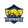 Fenerbahçe Espor Winter Cup