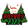 BayBay 2020